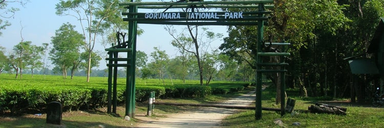 Gorumara National Park