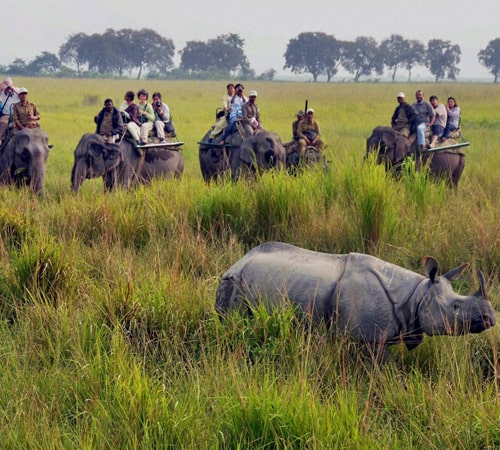 Honeymoon Tour - Shillong Kaziranga