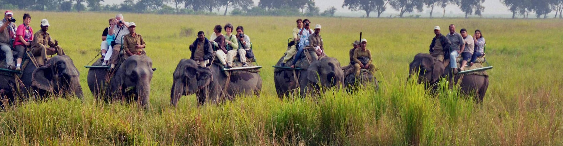 Honeymoon Tour - Shillong Kaziranga