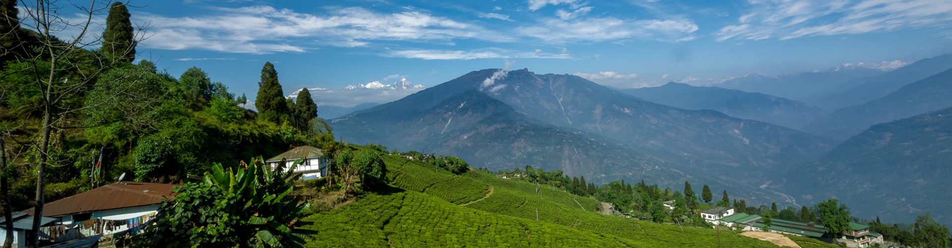 Gangtok(1N), Lachung(1N), Gangtok (3N), Darjeeling (2N) : 7N/8D